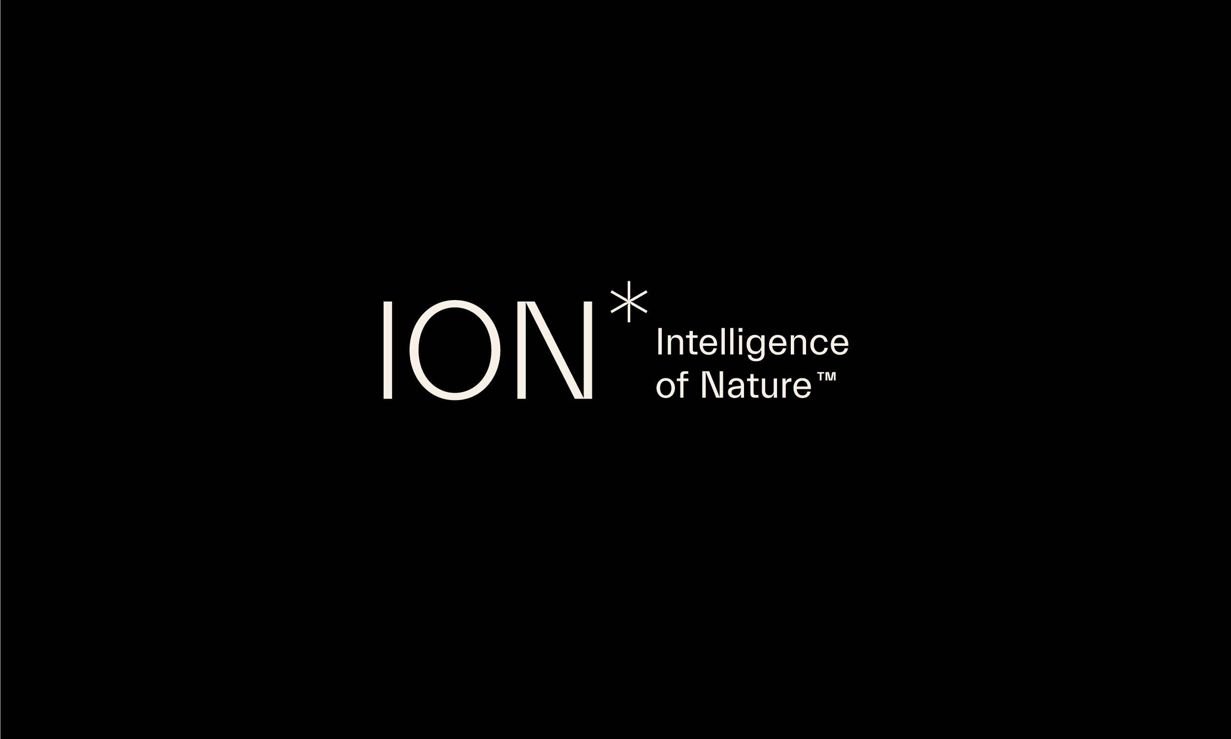 ION.Logo_.1.2500×1500